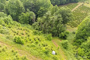 Tbd Finch Ln, Burnsville, NC 28714 - Photo 12