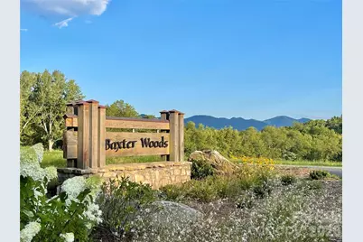 17 Baxter Woods Lane, Candler, NC 28715 - Photo 2