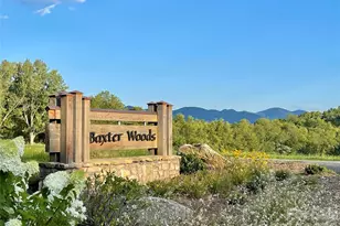 17 Baxter Woods Ln, Candler, NC 28715 - Photo 2