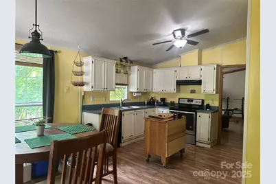 193 Green Cove Road, Bakersville, NC 28705 - Photo 10