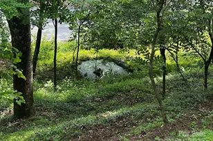 193 Green Cove Rd, Bakersville, NC 28705 - Photo 4