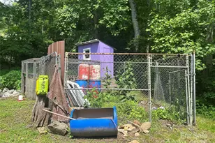 193 Green Cove Rd, Bakersville, NC 28705 - Photo 22