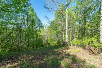 000 Thousand Oaks Drive, Old Fort, NC 28752 - Photo 4