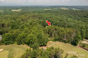 00 Washburn Ln, Rutherfordton, NC 28139 - Photo 1