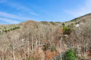 23 Hunting Ldg Dr, Black Mountain, NC 28711 - Photo 34