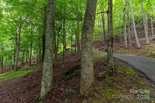 25 Hickory Springs Rd, Burnsville, NC 28714 - Photo 18