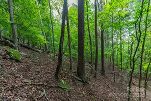 25 Hickory Springs Rd, Burnsville, NC 28714 - Photo 8