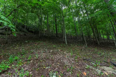 25 Hickory Springs Road #25, Burnsville, NC 28714 - Photo 10