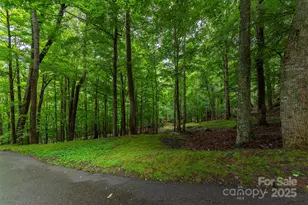 25 Hickory Springs Rd, Burnsville, NC 28714 - Photo 16