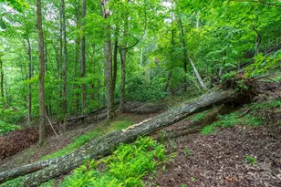 25 Hickory Springs Rd, Burnsville, NC 28714 - Photo 12