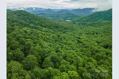 25 Hickory Springs Road #25, Burnsville, NC 28714 - Photo 2