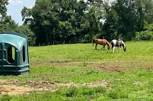 847 Crowe Dairy Rd, Forest City, NC 28043 - Photo 4