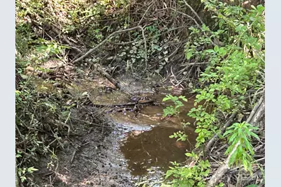 847 Crowe Dairy Road, Forest City, NC 28043 - Photo 32