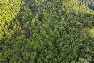 10 Turkey Trot Trail, Sylva, NC 28779 - Photo 14