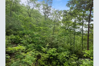 10 Turkey Trot Trail, Sylva, NC 28779 - Photo 8