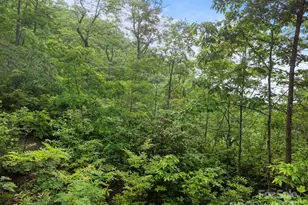 10 Turkey Trot Trail, Sylva, NC 28779 - Photo 8