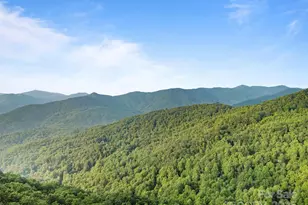 10 Turkey Trot Trail, Sylva, NC 28779 - Photo 16