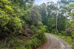 10 Turkey Trot Trail, Sylva, NC 28779 - Photo 4