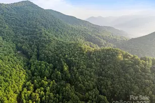 10 Turkey Trot Trail, Sylva, NC 28779 - Photo 10