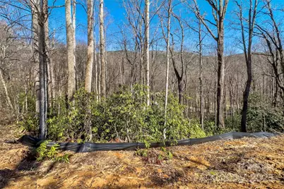 Lot# 158 Hunnicut Mountain Road, Marion, NC 28752 - Photo 10