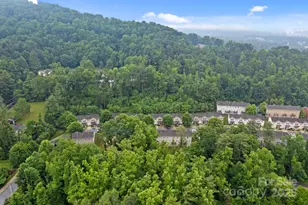 120 Alpine Ridge Dr, Asheville, NC 28803 - Photo 38
