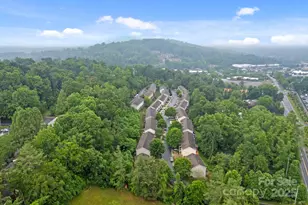 120 Alpine Ridge Dr, Asheville, NC 28803 - Photo 42