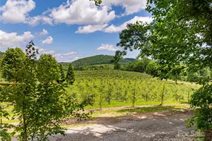 103 Blue Sky Ln, Hendersonville, NC 28792 - Photo 46