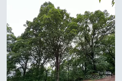 91 Ford Ridge Lane, Columbus, NC 28722 - Photo 16