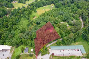 91 Ford Ridge Ln, Columbus, NC 28722 - Photo 1