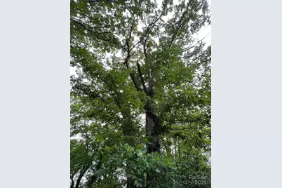 91 Ford Ridge Lane, Columbus, NC 28722 - Photo 8