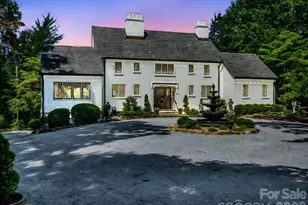 287 Pacolet Ridge Ln, Tryon, NC 28782 - Photo 48