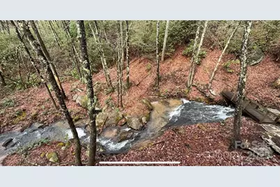 630 Shumont Road, Black Mountain, NC 28711 - Photo 6