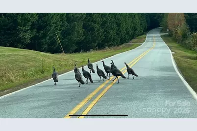 630 Shumont Road, Black Mountain, NC 28711 - Photo 24