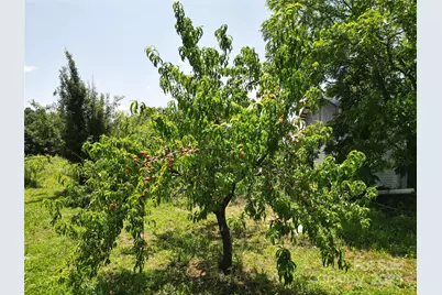 843 Upper White Store Road, Peachland, NC 28133 - Photo 44