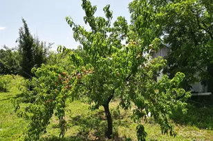 843 Upper White Store Rd, Peachland, NC 28133 - Photo 44