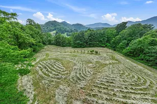 51 Homefire Cove Cove, Leicester, NC 28748 - Photo 36