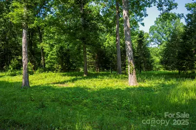 Lot 33 Valley Farm Road #33, Waxhaw, NC 28173 - Photo 8