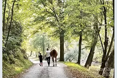 2.66 Acres, Lot 903 High Valley Way #903, Lenoir, NC 28645 - Photo 34