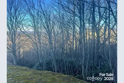 000 Roxworth Court, Flat Rock, NC 28731 - Photo 2