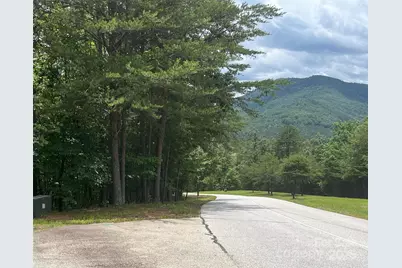 00 Deep Gap Road E #59, Mill Spring, NC 28756 - Photo 1