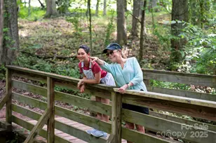 223 Halemarg Dr, Belmont, NC 28012 - Photo 18