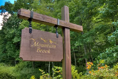 000 Golden Trout Drive #48&49, Spruce Pine, NC 28777 - Photo 2