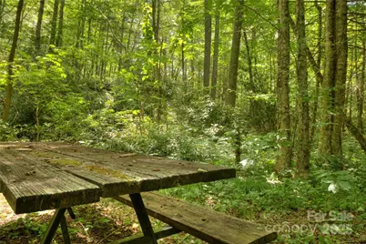 000 Golden Trout Drive #48&49, Spruce Pine, NC 28777 - Photo 8