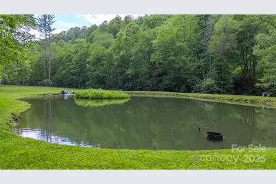 000 Golden Trout Drive #48&49, Spruce Pine, NC 28777 - Photo 4