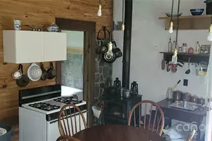 459 Old Yellow Mountain Rd, Marion, NC 28752 - Photo 24