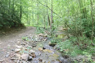 459 Old Yellow Mountain Rd, Marion, NC 28752 - Photo 22