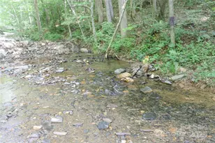 459 Old Yellow Mountain Rd, Marion, NC 28752 - Photo 20