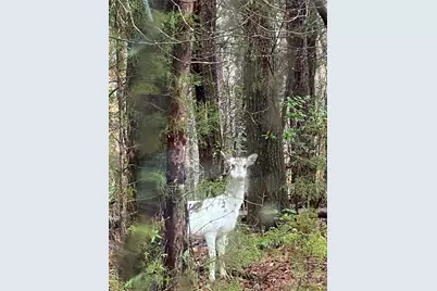 177 Mountain View Lane, Troy, NC 27371 - Photo 46