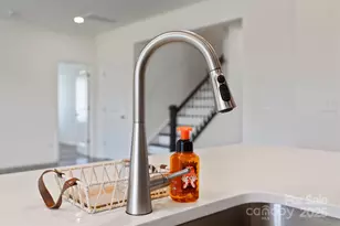 117 Carmine Ct, Troutman, NC 28166 - Photo 16