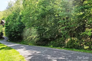 Tbd Goldenleaf Rd, Mars Hill, NC 28754 - Photo 8